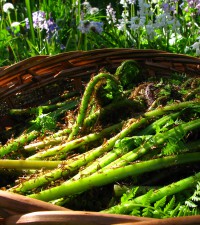 Sunny May at the Farmers' Market